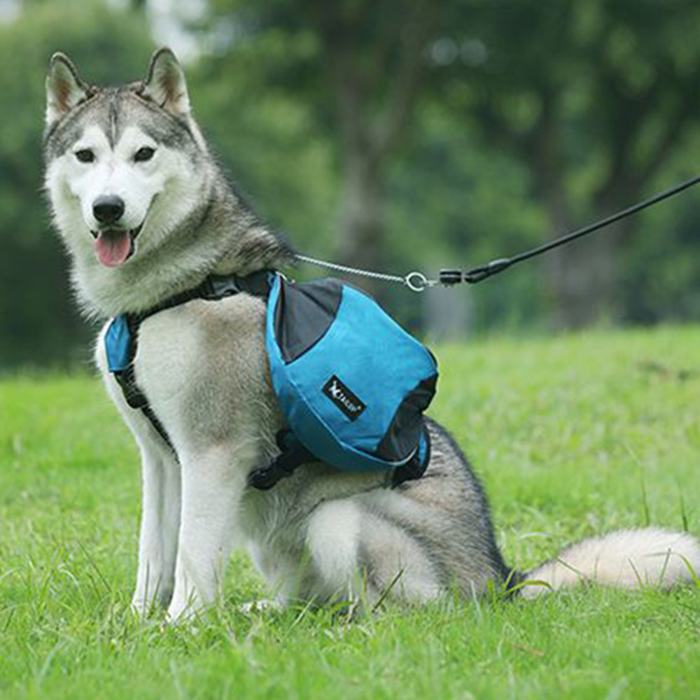 Zaino per Addestramento Cani c - Crossfit Weight Vest recensione e prezzo
